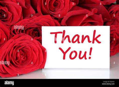 Thank You Greeting Card With Red Roses Flowers Stock Photo Alamy