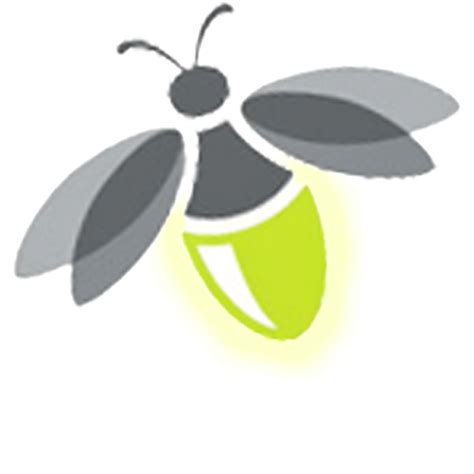 Firefly Transparent Png Png Mart
