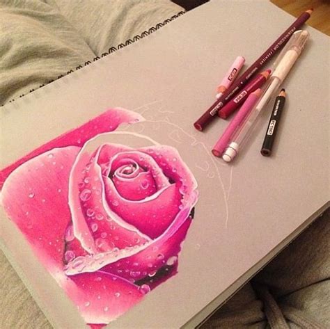 A Drawing Of A Pink Rose With Water Droplets On It And Three Crayons