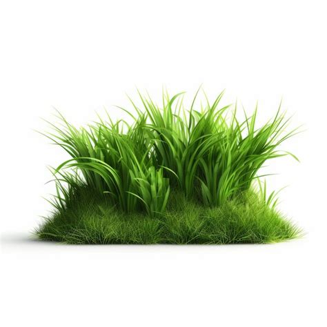 Premium Ai Image Photorealistic Grass Clipart Capturing The Essence