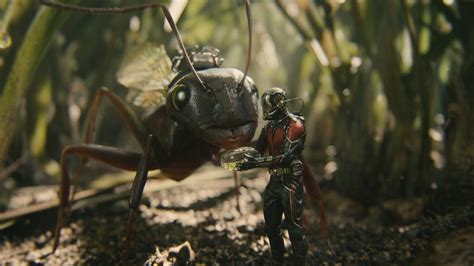 40 Stunning New Ant Man Stills Showcase His Greatest Allies