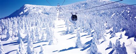 Zao Onsen Ski Resort Gday Japan
