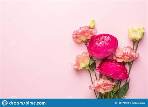 Ramo De Flores Rosa Sobre Fondo Pastel Con Espacio De Copias Foto De Archivo Imagen De Manojo