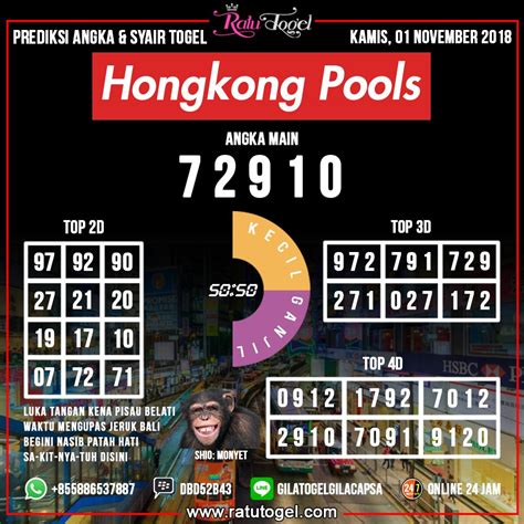 wild 4d togel