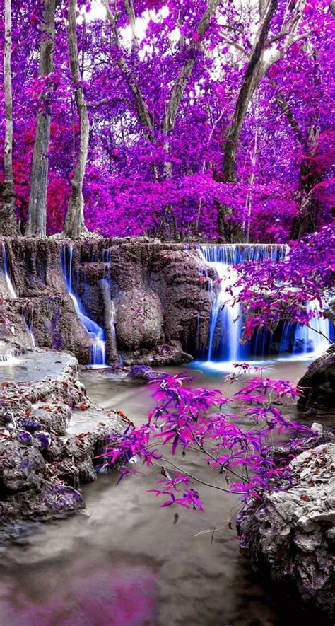 346 Best Images About Woodland Streams And Waterfalls On Pinterest