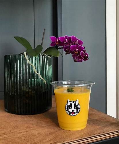 Диета манго молоко