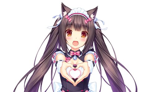 Nekopara Hd Wallpaper Background Image 1920x1200 Id801324