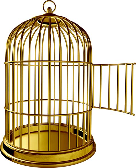 Vector Bird Cage Photos Cantik