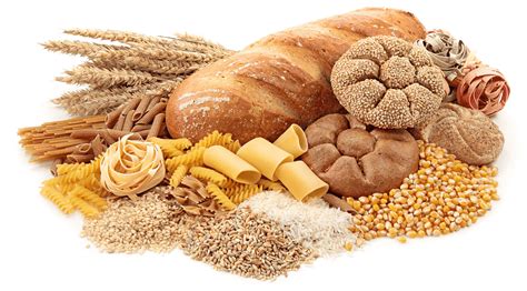 Bread And Pastry Illustration Carbohydrate Cereal Food Dietary Fiber