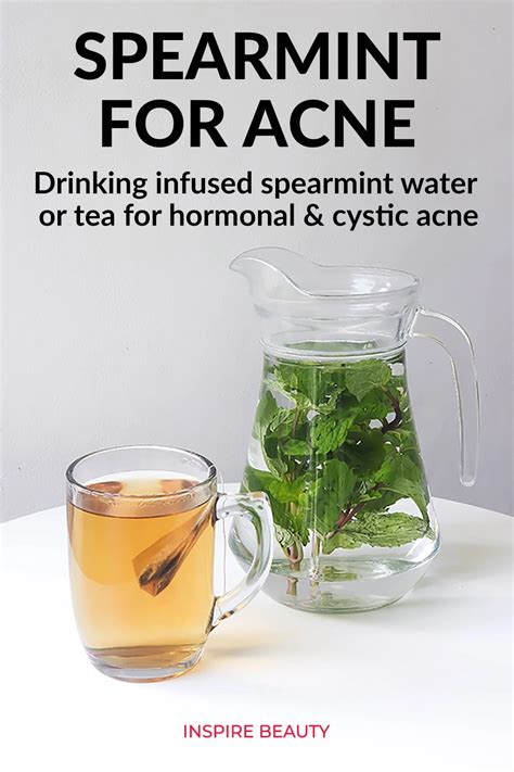 How Mint Water And Spearmint Tea Can Help Hormonal Acne Inspire Beauty