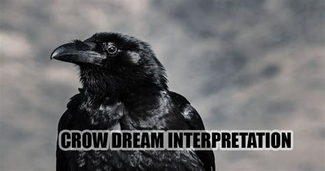 Crow Dream Interpretation Guide To Dreams