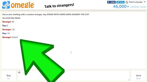 Omegle Chat Box Youtube