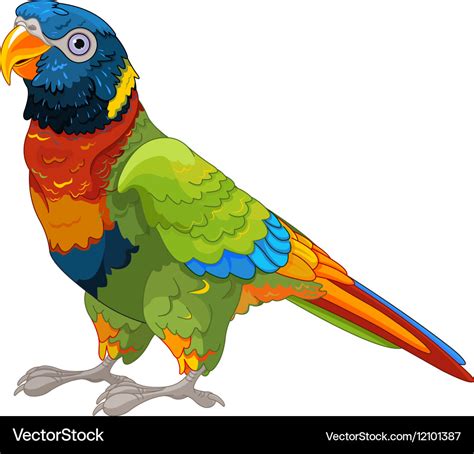 Lory Parrot Royalty Free Vector Image Vectorstock