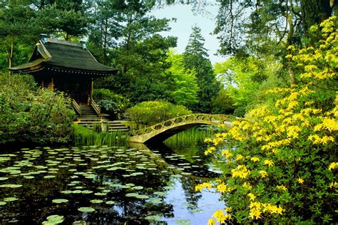 Pond Background Images