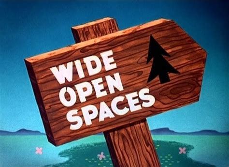 Wide Open Spaces Donald Duck Wiki Fandom