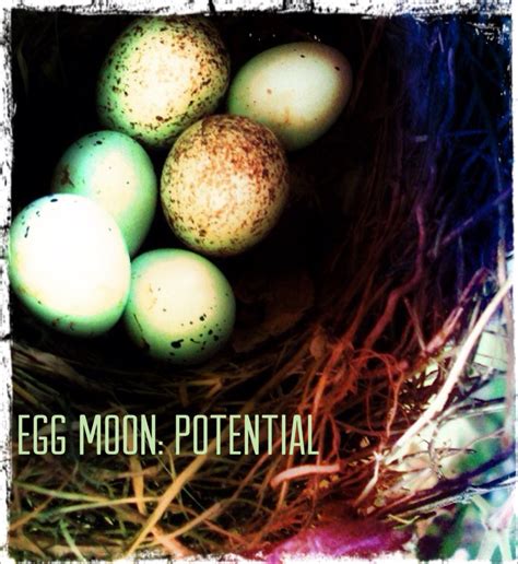 Egg Moon Potential Amy Palko