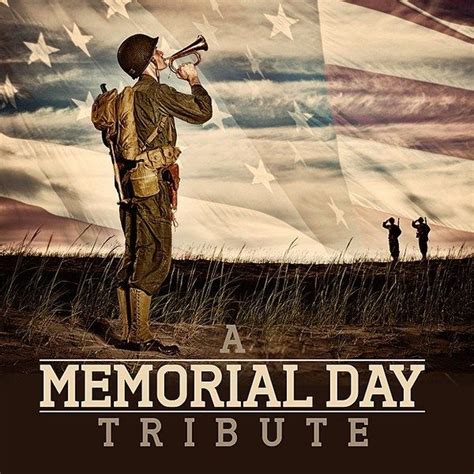 Memorial Day Tribute Images Photos Pictures With Thank You Quotes Messages Wishes