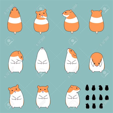 Set Of Hamster Standing Poses Royalty Free Cliparts Vectors And Stock