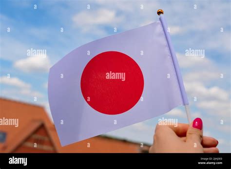 The National White Flag With Red Circle Of Japan In Hand Close Up Stock