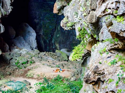 Elephant Cave And Ma Da Valley Day Trek By Jungle Boss In Phong Nha Vietnam Laugh Travel Eat
