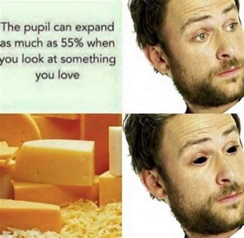 24 Funny Cheese Memes That Couldnt Be Any Cheddar