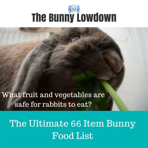 The Best Rabbit Foods Of 2023 Atelier Yuwaciaojp