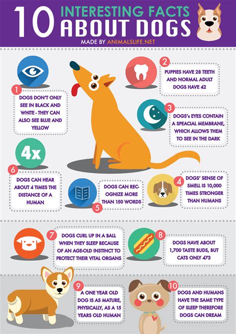 10 Interesting Facts About Dogs by Animals Life NET - Animals Life ...
