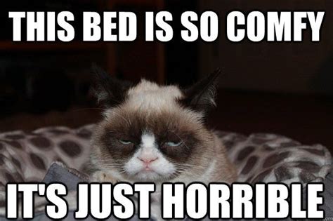 This Bed Is So Comfy Its Just Horrible Beds Are Horrible Grumpy Cat
