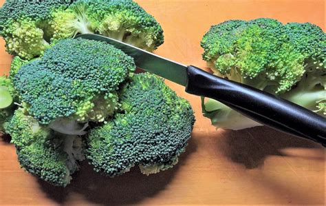 Brocoli 5 recettes avec ce légume