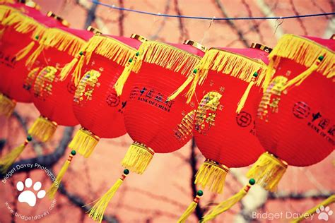 Kung Hei Fat Choy Chinese New Year In London Uk Flickr