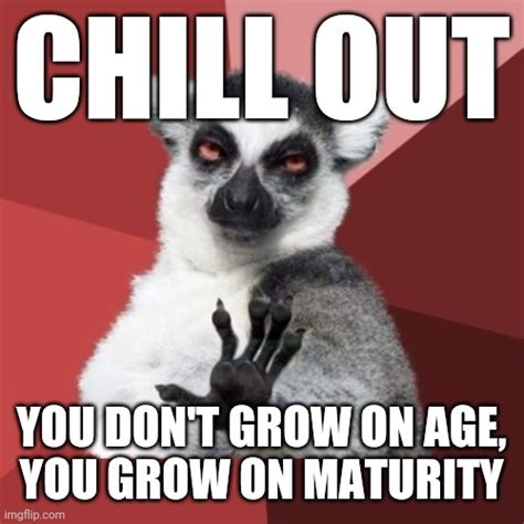 chill out lemur meme imgflip