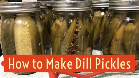 How To Make Dill Pickles Youtube