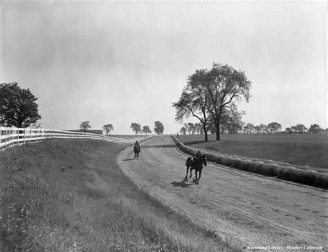 Kentucky Farm Time Capsule Maine Chance Farm Horse Racing News