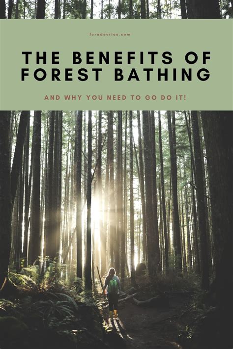 Forest Bathing Guide How To Forest Bathe And Forest Bathing Benefits