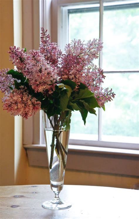 In Love With Lilacs Lilac Beautiful Glass Vase