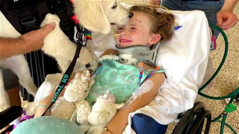 Girl Paralyzed In Car Accident Gets A Helping Paw Youtube