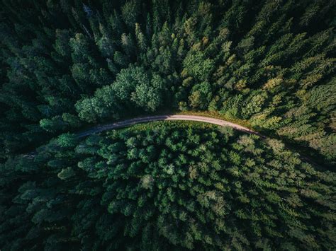 Nature Aerial View Road Trees Forest Wallpapers Hd
