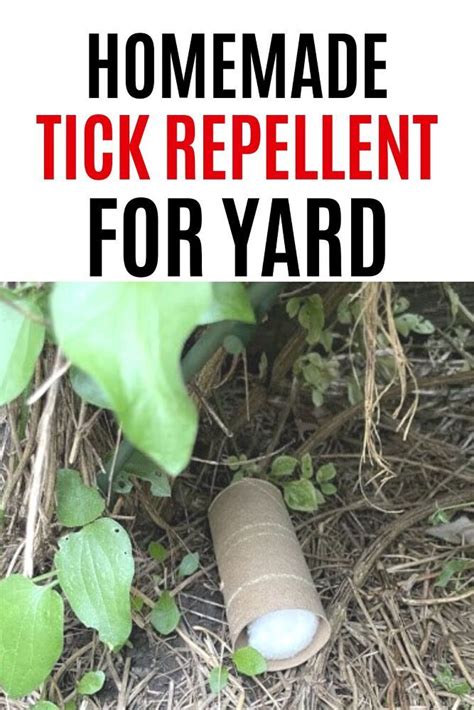 How To Get Rid Of Ticks In Yard Naturally Homemade Tick Repellent