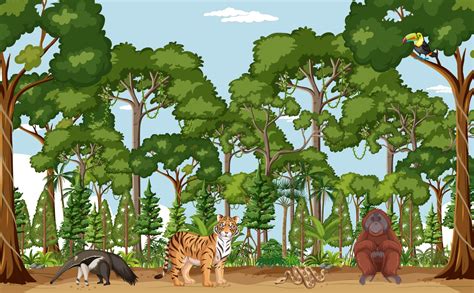 Forest Scene With Different Wild Animals 2918384 Vector Art At Vecteezy