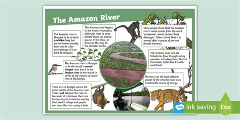 amazon river fact file display poster twinkl ks2