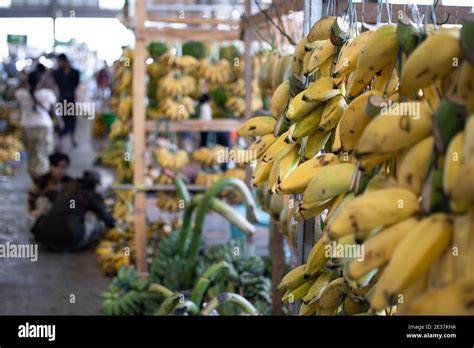 Small Ripe Yellow Bananas Being Sold At A Local Traditional Fruit And