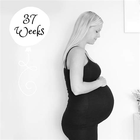 Pregnancy 37 Weeks Bump Watch