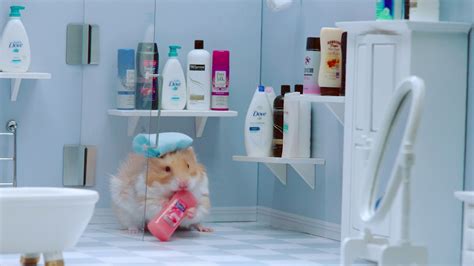 Hammy The Hamster Keeps It Fresh Makeitmini Youtube