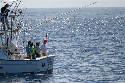 Pesca Deportiva Entra En Acción Este 2023 Cdag