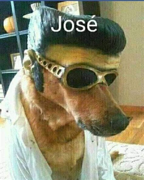 José Really Funny Pictures Funny Profile Pictures Funny Reaction