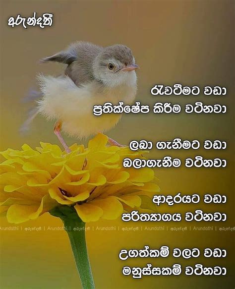 Sobani Sinhala Arundathi Fb Post Adara Amma Wadan