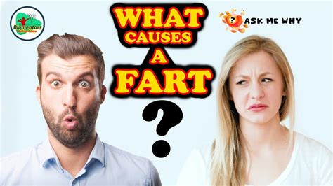 Ask Me Why What Causes A Fart Youtube