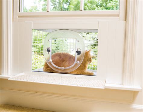 How to make a cat entryway in a removable window screen: Petsafe Cat Veranda Terrace Porch Perch Cat Door Window | eBay