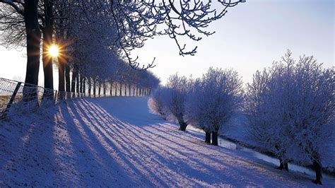 Free Download Beautiful Winter Wallpapers Beauty Of Winter Season