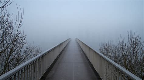 Free Images Snow Winter Fog Mist Bridge Sunlight Morning Web